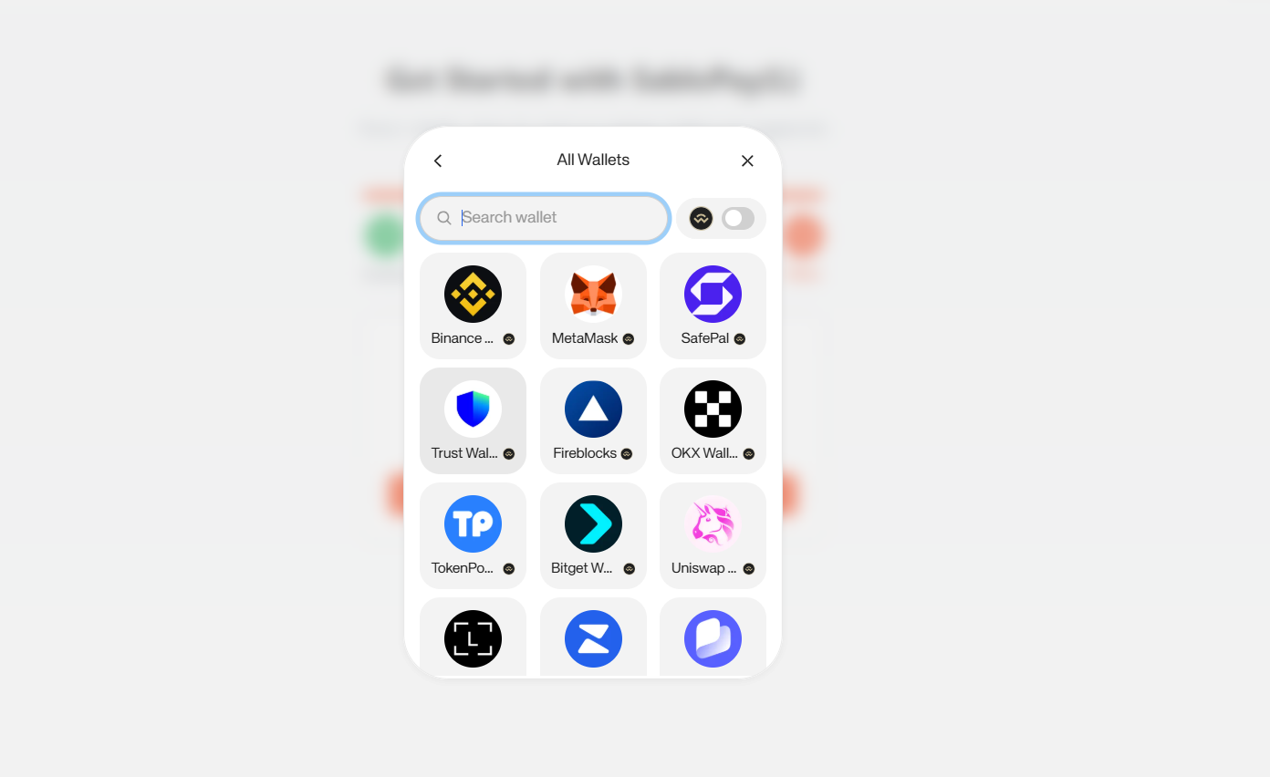Wallet Connection – Step 3: Choose your wallet provider